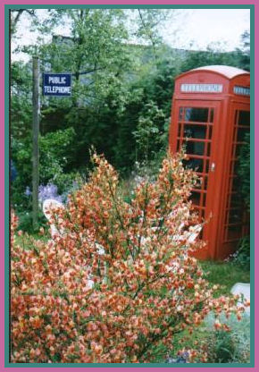Telephone Kiosk and missing sign